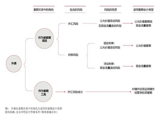 2021年1月【中國外匯】善用外債套期保值會計 圖1.jpg